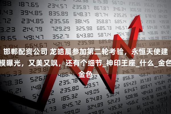 邯郸配资公司 龙皓晨参加第二轮考验，永恒天使建模曝光，又美又飒，还有个细节_神印王座_什么_金色